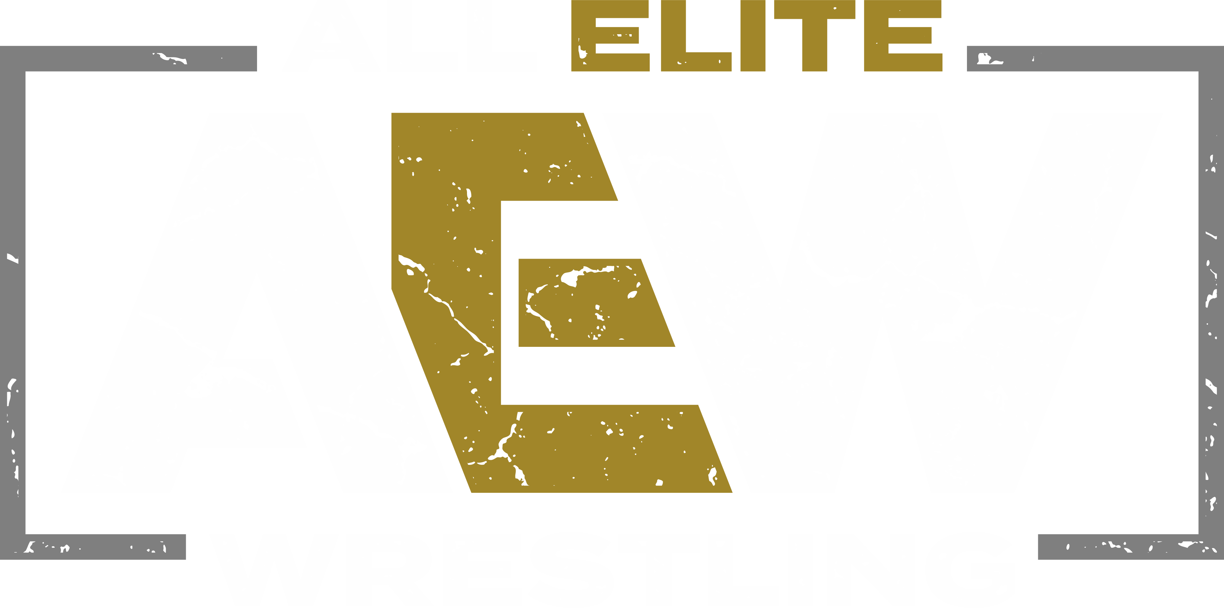 AEW_7754_RGB_161_134_41